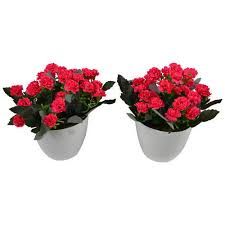 Tabletops & Desktops Artificial Flowers