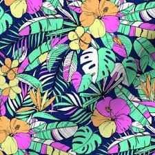 Lycra Print Fabric