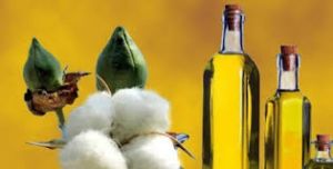 Cotton Seed Oil