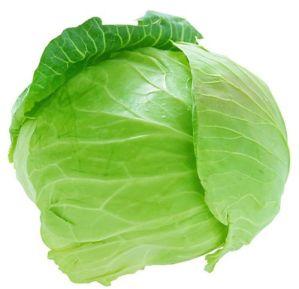 Fresh Green Cabbage