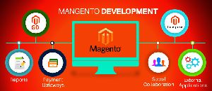 magento customization services