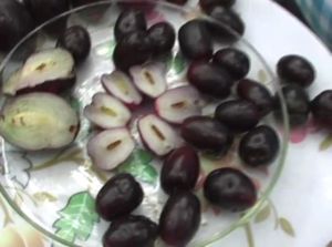 Seedless Jamun Plant