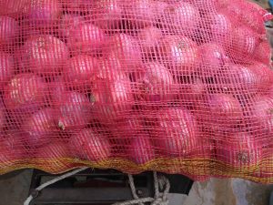 55cm red onions