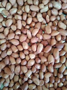 Groundnut, Bold Peanuts