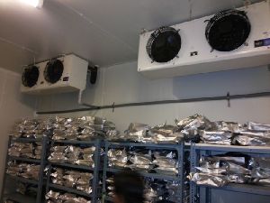 cold room installation services