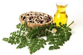 Organic Moringa Oil