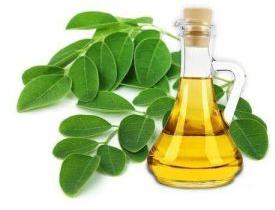 Pure moringa oil