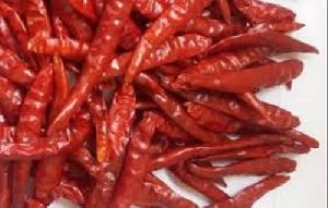 Raw Dried Red Chilli