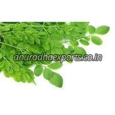 Organic Moringa Leaves