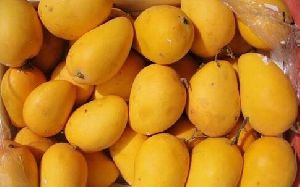 Fresh Kesar Mango