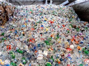 Pet Bottles Scrap