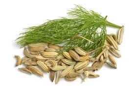 Fennel Seed Extract