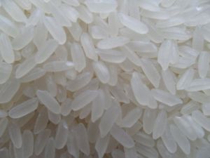 Short Grain Basmati Rice