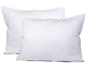 Cotton Filled Pillows