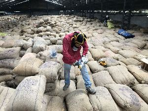 Warehouse Fumigation Services