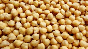 White Chickpeas