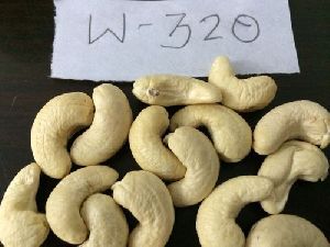 cashew nut w320