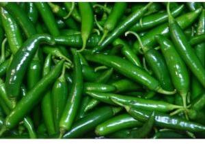 Fresh Green Chilli