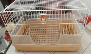 Rabbit Cage