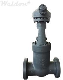 EN1.0619 Gate Valve