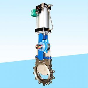 Knife Edge Gate Valve