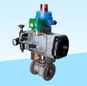 Sleeved Plug Valve