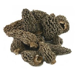 Standard Grade Dried Morels