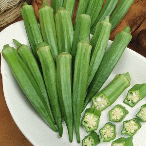 Fresh Okra