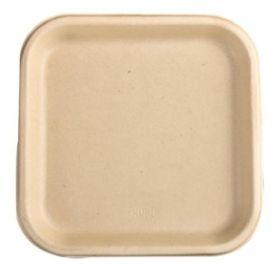 9 Inch Biodegradables Disposable Plate