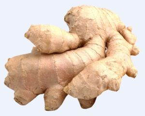 Fresh Natural Ginger