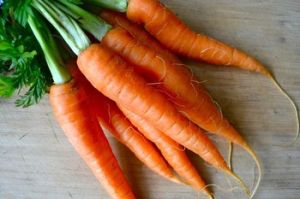 Fresh Carrot