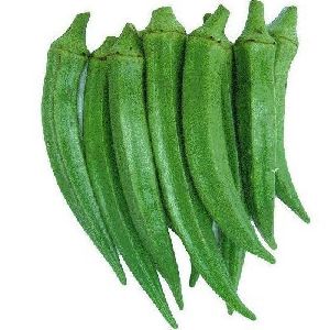 Fresh Okra