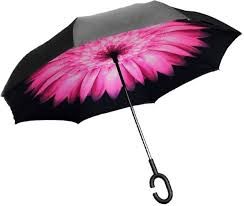 Rain Umbrella