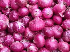 Red Onion