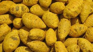 Salem Turmeric