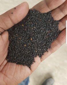 Small Black Sesame Seeds (Raw)