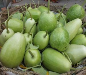 Fresh Bottel Gourd