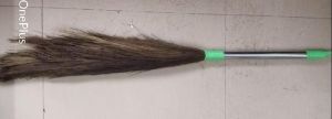 Meghalaya grass broom