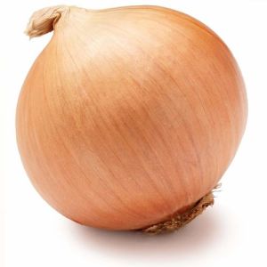 organic red onion