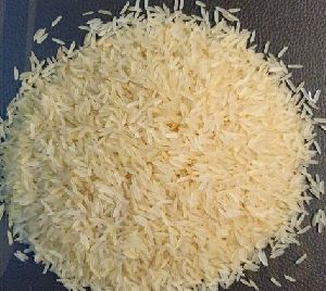 pusa golden rice