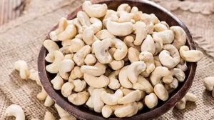 cashew nuts