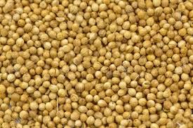 Coriander Seeds