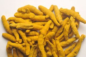 Organic Turmeric Finger