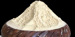 Dehydrated Garlic Powder Premium Grade