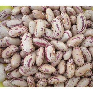 White Kidney Beans