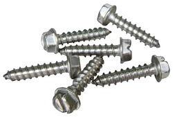 Stainless Steel Screws