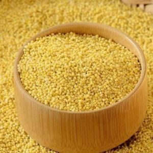 Yellow Millet Seeds