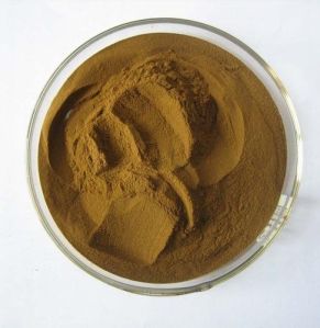 Coleus Forskolin Powder