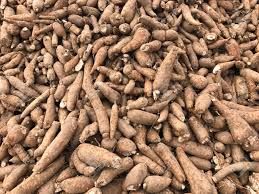 Fresh Cassava