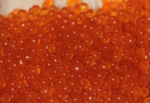 salmon roe